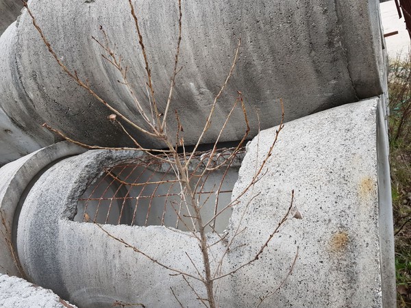 34#5406 Tubi in vendita - foto 50