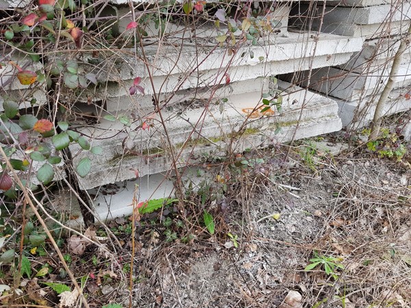 35#5407 Tubi armati e lastre in vendita - foto 14