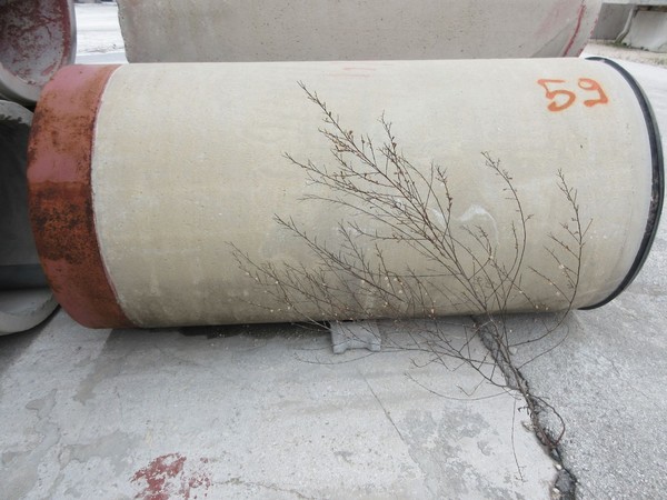 35#5407 Tubi armati e lastre in vendita - foto 81