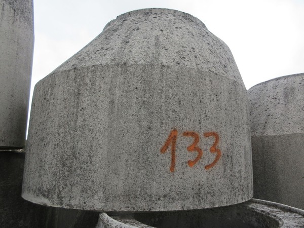 39#5407 Elementi di base menhir in vendita - foto 46