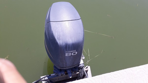 1#5411 Pontoon Southland boat Champagne 26 in vendita - foto 3