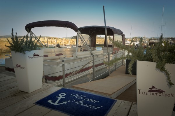 1#5411 Pontoon Southland boat Champagne 26 in vendita - foto 9