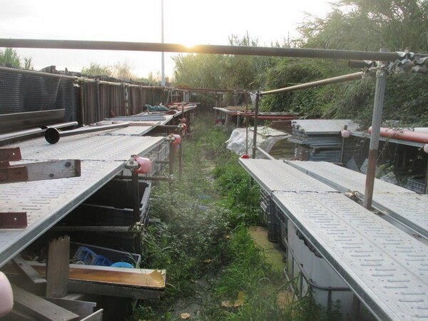 Titolo sconosciuto in vendita - foto 107