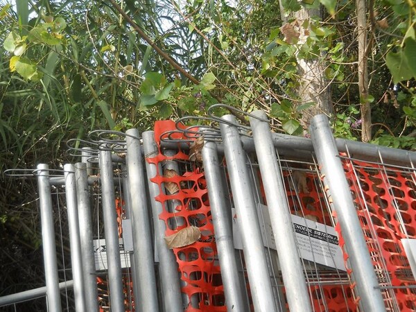 Titolo sconosciuto in vendita - foto 157