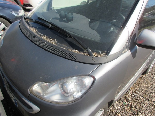 14#5420 Autovettura Smart Fortwo Coupe MHD in vendita - foto 9