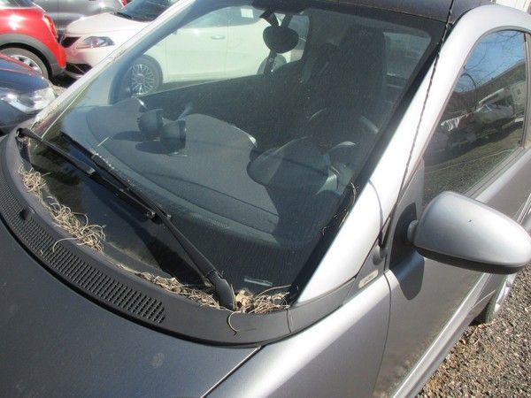 14#5420 Autovettura Smart Fortwo Coupe MHD in vendita - foto 10