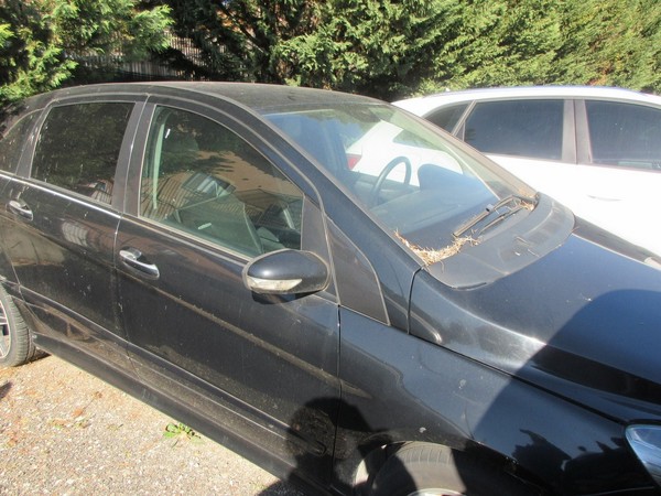 2#5420 Autovettura Merecedes Classe B in vendita - foto 9