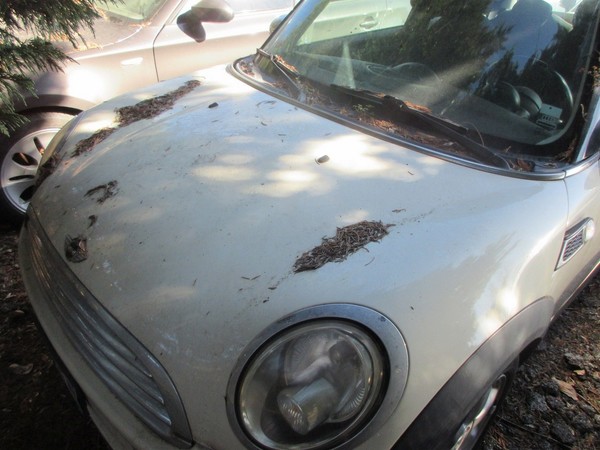 7#5420 Autovettura Mini Cooper D in vendita - foto 5