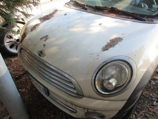 7#5420 Autovettura Mini Cooper D in vendita - foto 6