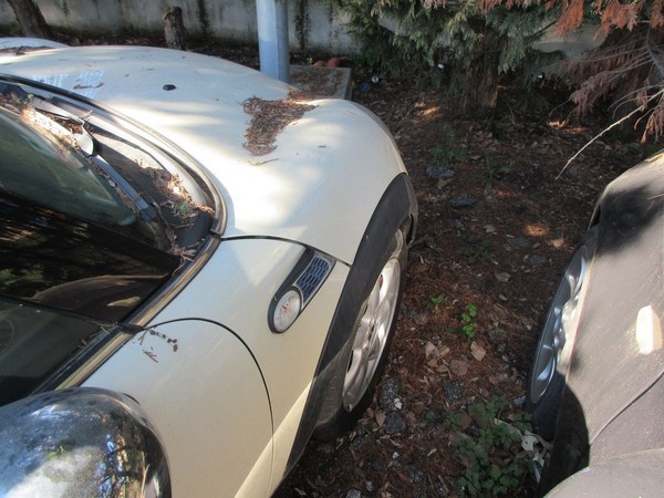 7#5420 Autovettura Mini Cooper D in vendita - foto 11