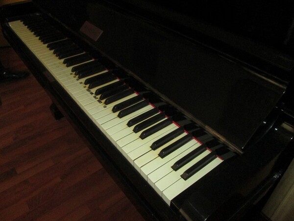 16#5427 Pianoforte Wilkemann in vendita - foto 8