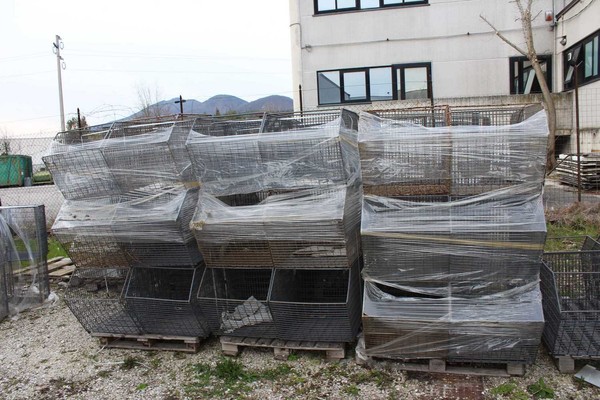 6#5429 Ceste a bocca di lupo in vendita - foto 1