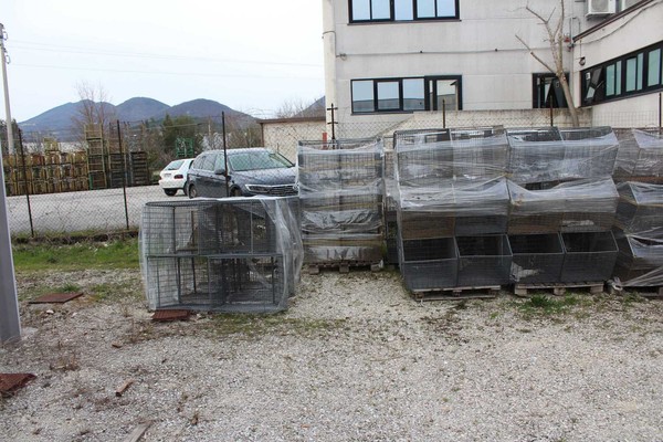 6#5429 Ceste a bocca di lupo in vendita - foto 2