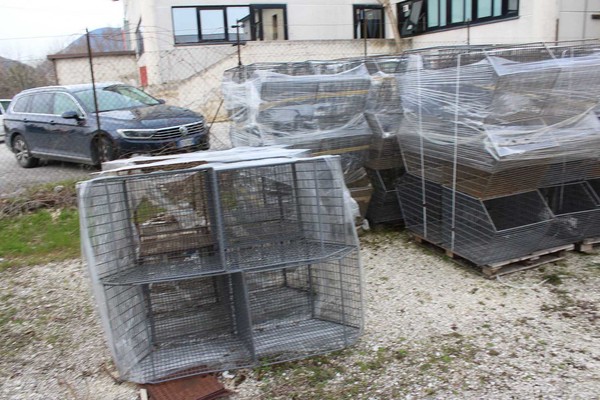 6#5429 Ceste a bocca di lupo in vendita - foto 3