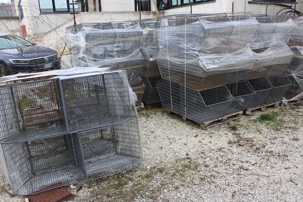 6#5429 Ceste a bocca di lupo in vendita - foto 4