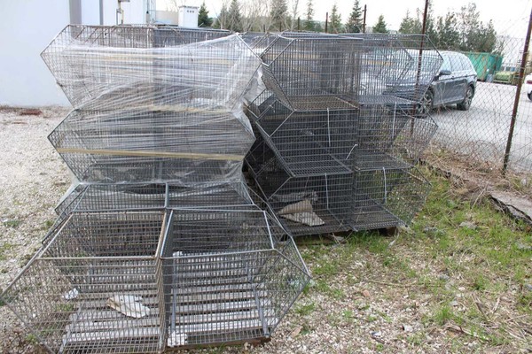 6#5429 Ceste a bocca di lupo in vendita - foto 7