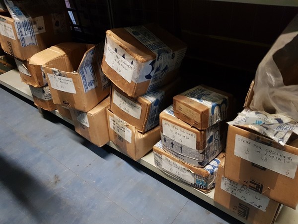 18#5432 Minuteria per serramenti in vendita - foto 113