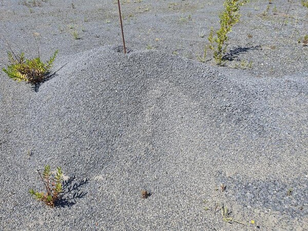 23#5445 Graniglia in vendita - foto 2