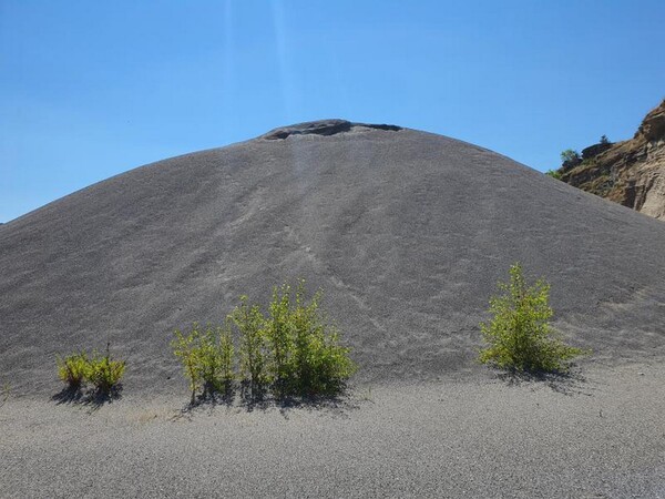 24#5445 Graniglia in vendita - foto 1