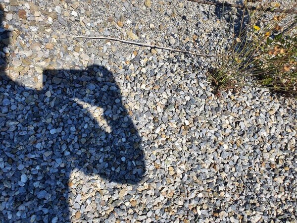 24#5445 Graniglia in vendita - foto 12