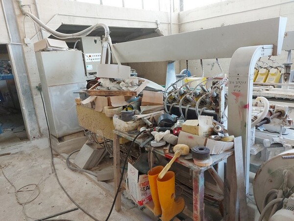 1#5454 Rulliera Scomat e gruppo Lucidatura Pedrini in vendita - foto 23