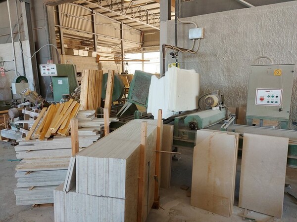 2#5454 Bisellatrice Arena in vendita - foto 2
