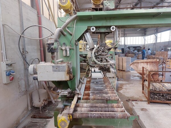 4#5454 Scoppiatrice Guglielmini in vendita - foto 4