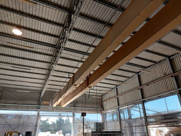 8#5454 Carroponte Pellegrini in vendita - foto 2