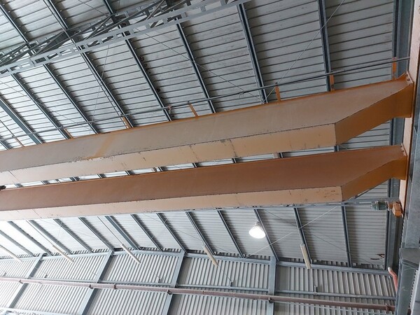 8#5454 Carroponte Pellegrini in vendita - foto 3