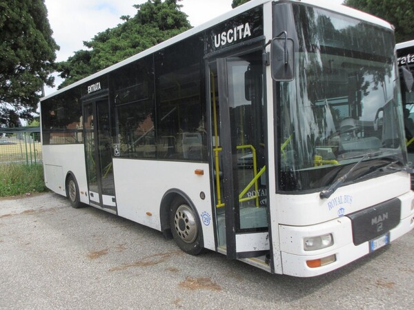 Varie trasporti in vendita