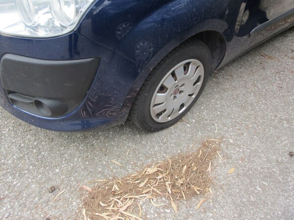 9#5473 Autovettura Fiat Doblò in vendita - foto 8