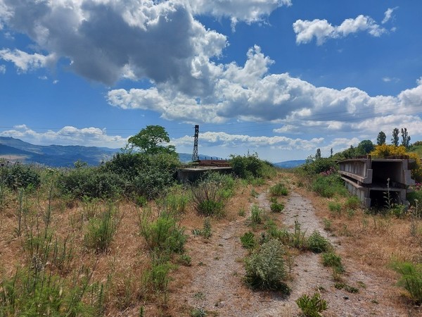 4#5474 Casseri e travi metalliche in vendita - foto 32