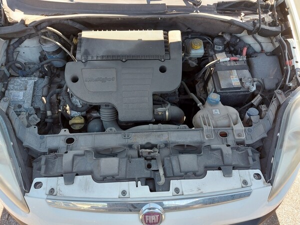 14#5479 Autocarro Fiat Punto Evo in vendita - foto 19