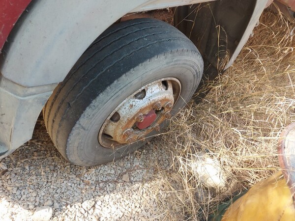 7#5487 Autocarro Fiat e pala meccanica Cat in vendita - foto 15