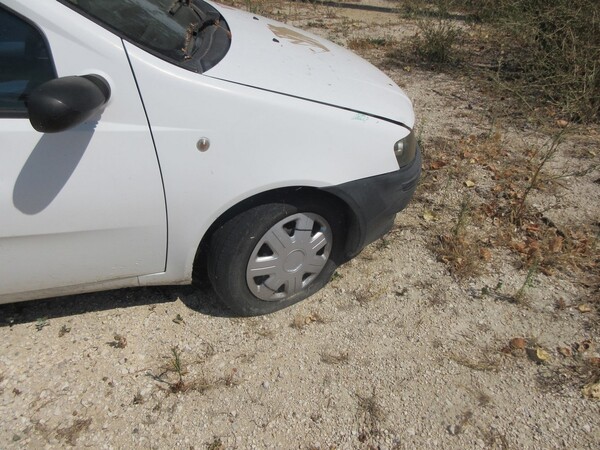 14#5491 Autovettura Fiat Punto in vendita - foto 11