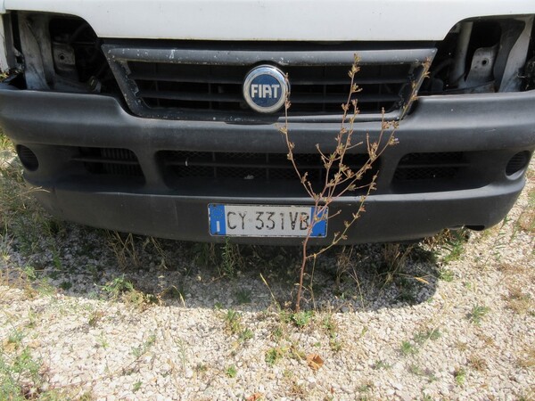 27#5491 Furgone Fiat Ducato in vendita - foto 2