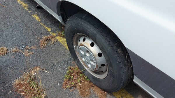 30#5491 Furgone Fiat Ducato in vendita - foto 4