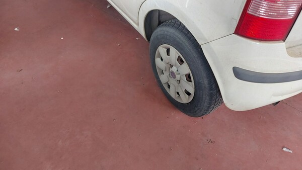 54#5491 Autovettura Fiat Panda in vendita - foto 4