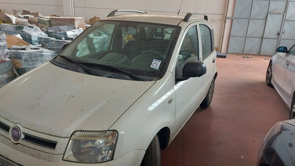 54#5491 Autovettura Fiat Panda in vendita - foto 15