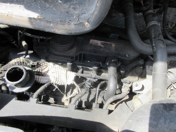 6#5491 Furgone Fiat Ducato in vendita - foto 11
