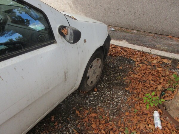 64#5491 Fiat Punto in vendita - foto 12