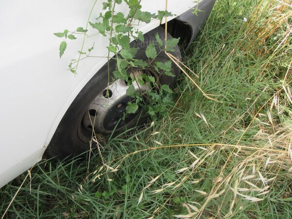 8#5491 Furgone Fiat Ducato in vendita - foto 5