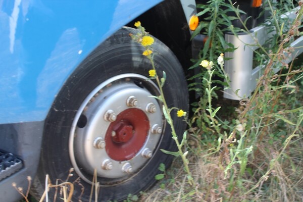 12#5495 Furgone Iveco 100 in vendita - foto 11