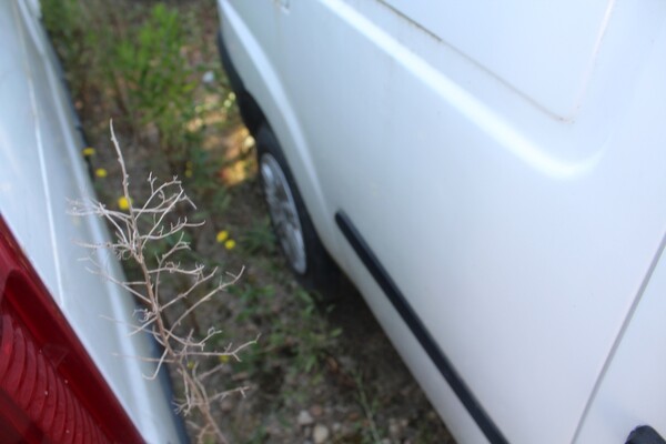 16#5495 Autocarro Fiat Doblò in vendita - foto 10