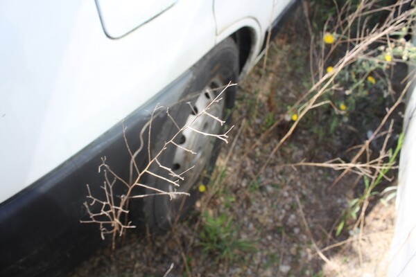 19#5495 Furgone Fiat Ducato in vendita - foto 9