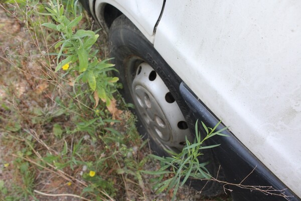 19#5495 Furgone Fiat Ducato in vendita - foto 11