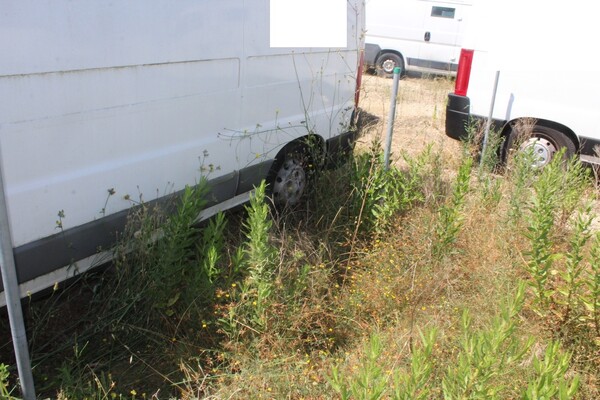 31#5495 Furgone Fiat Ducato in vendita - foto 11