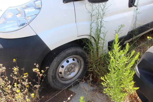 34#5495 Frugone Fiat Ducato in vendita - foto 8
