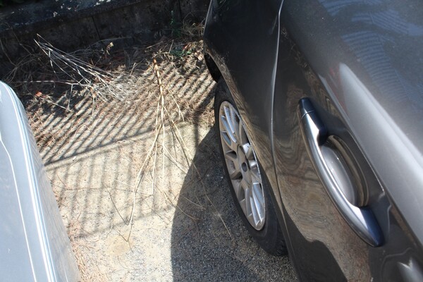 39#5495 Autovettura Fiat Bravo in vendita - foto 12