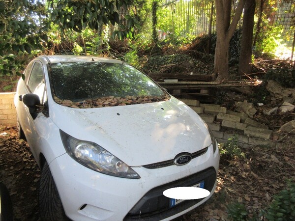 Automobili in vendita